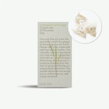 Lemongrass & Ginger 20 Pyramids