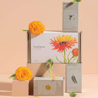 The Botanica Gift Pack