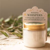 Fairy Beckoning Potion