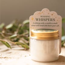 Fairy Beckoning Potion